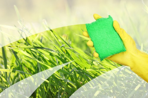 Professional carpet cleaning service in a Chelsea home interior
