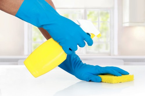 Professional oven cleaner in Chelsea deep cleaning a kitchen oven