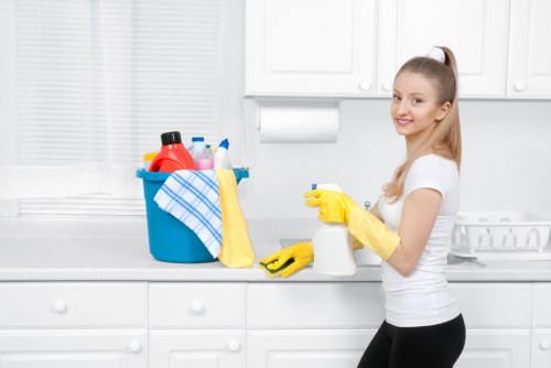 Middle stage of a cleaner complaint assessment process