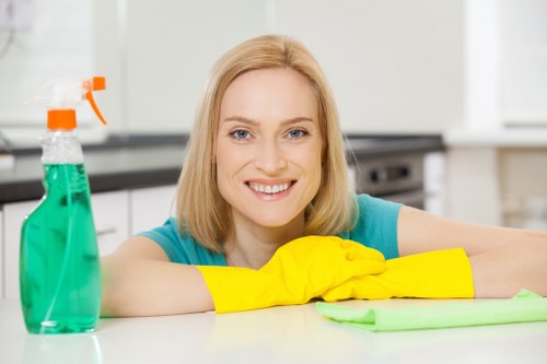 Final review stage for a cleaning service complaint
