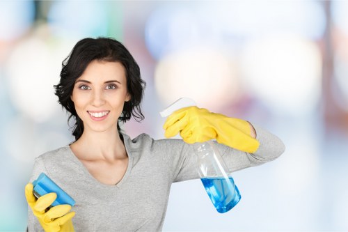Residential cleaning in Chelsea with detailed kitchen and living area care