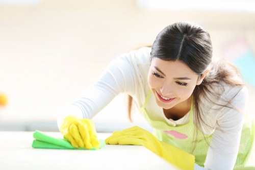 Eco-friendly cleaners in Chelsea using sustainable products