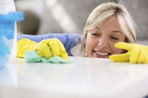 Dust removal and polishing after renovation in Chelsea