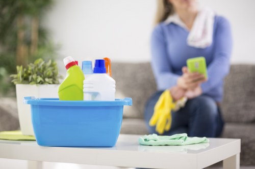 Bathroom cleaning in a Chelsea apartment