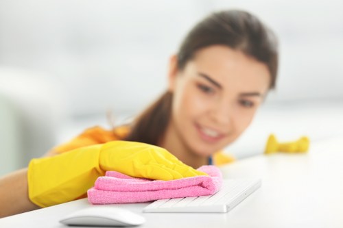 Professional cleaner preparing a Chelsea property for regular maintenance