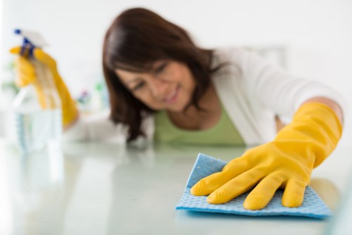 Local carpet cleaning service for homes and businesses in Chelsea