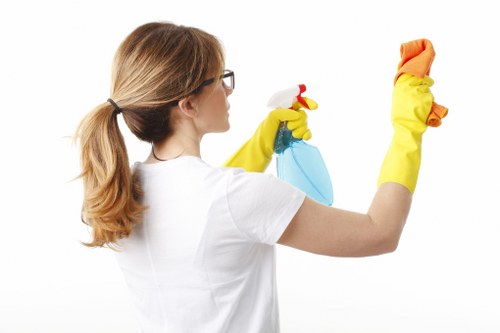 Cleaning supplies and tidy living room in Chelsea