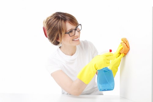 Detailed bathroom cleaning in a Chelsea property